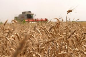 servicii agricole