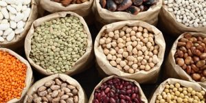 legume criza