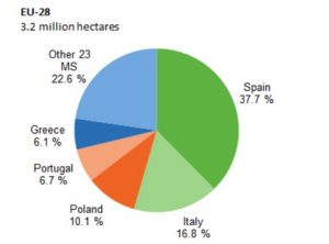 fructe europa