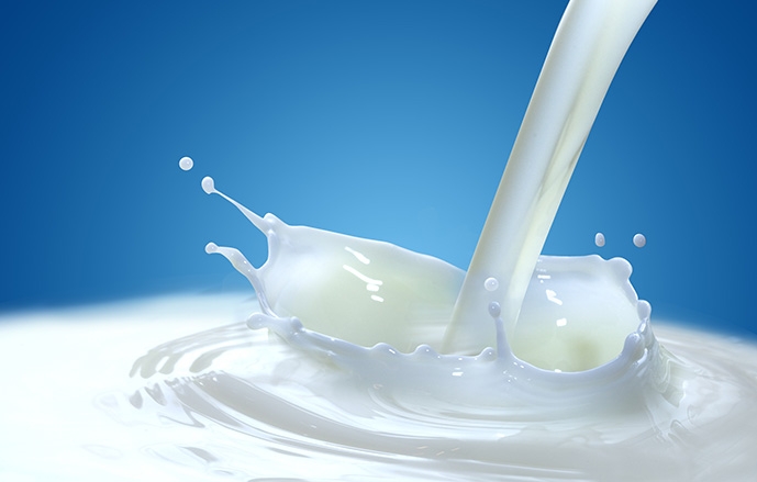 Rabobank: Top 20 producatori de lactate in lume