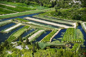 Farming in Dalmatia, Croatia, at the Adriatic coast.