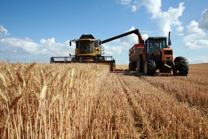 Agitatie mare pe piata internationala a cerealelor. Libia vrea sa cumpere un milion de tone de grau din Rusia
