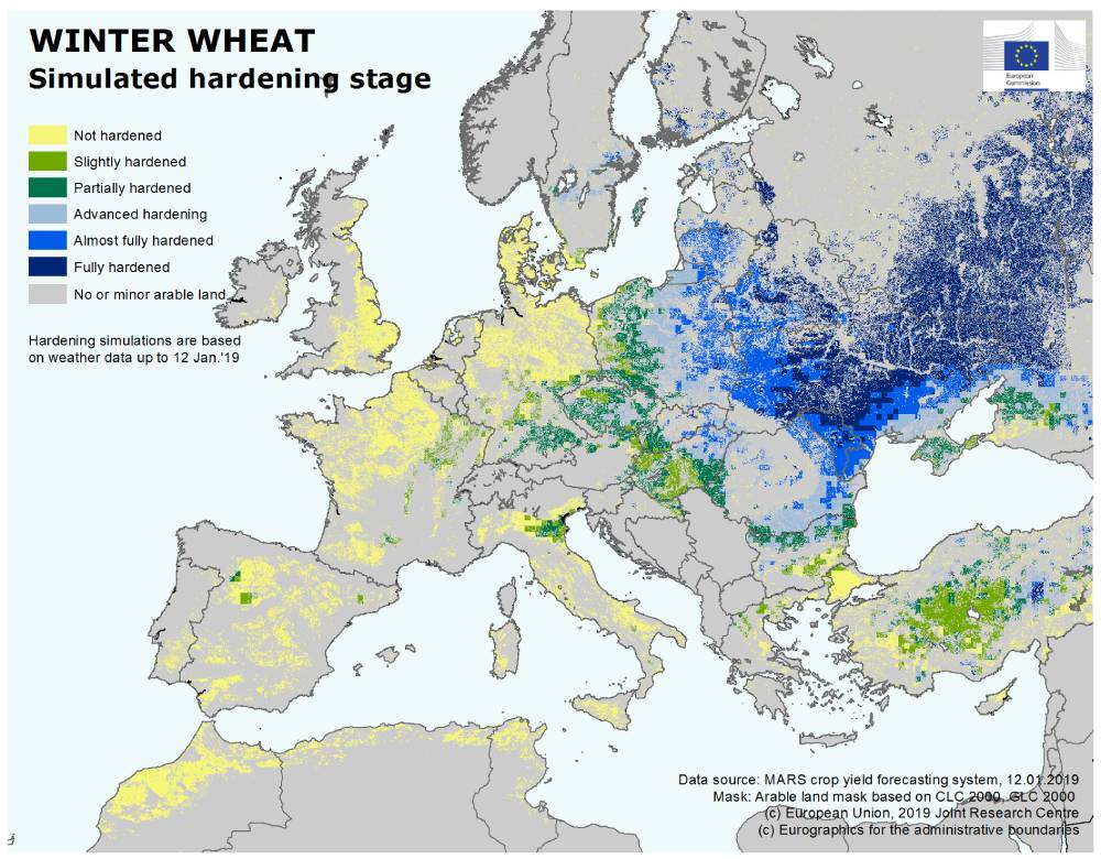 Raport CE privind starea culturilor agricole. Pagube minore, la acest moment