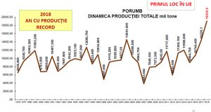 dinamica pb