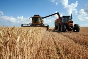 Rcolte du bl :  moissoneuse et tracteur