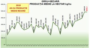 medie gr
