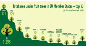 EUROSTAT1