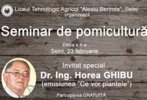 ghibu