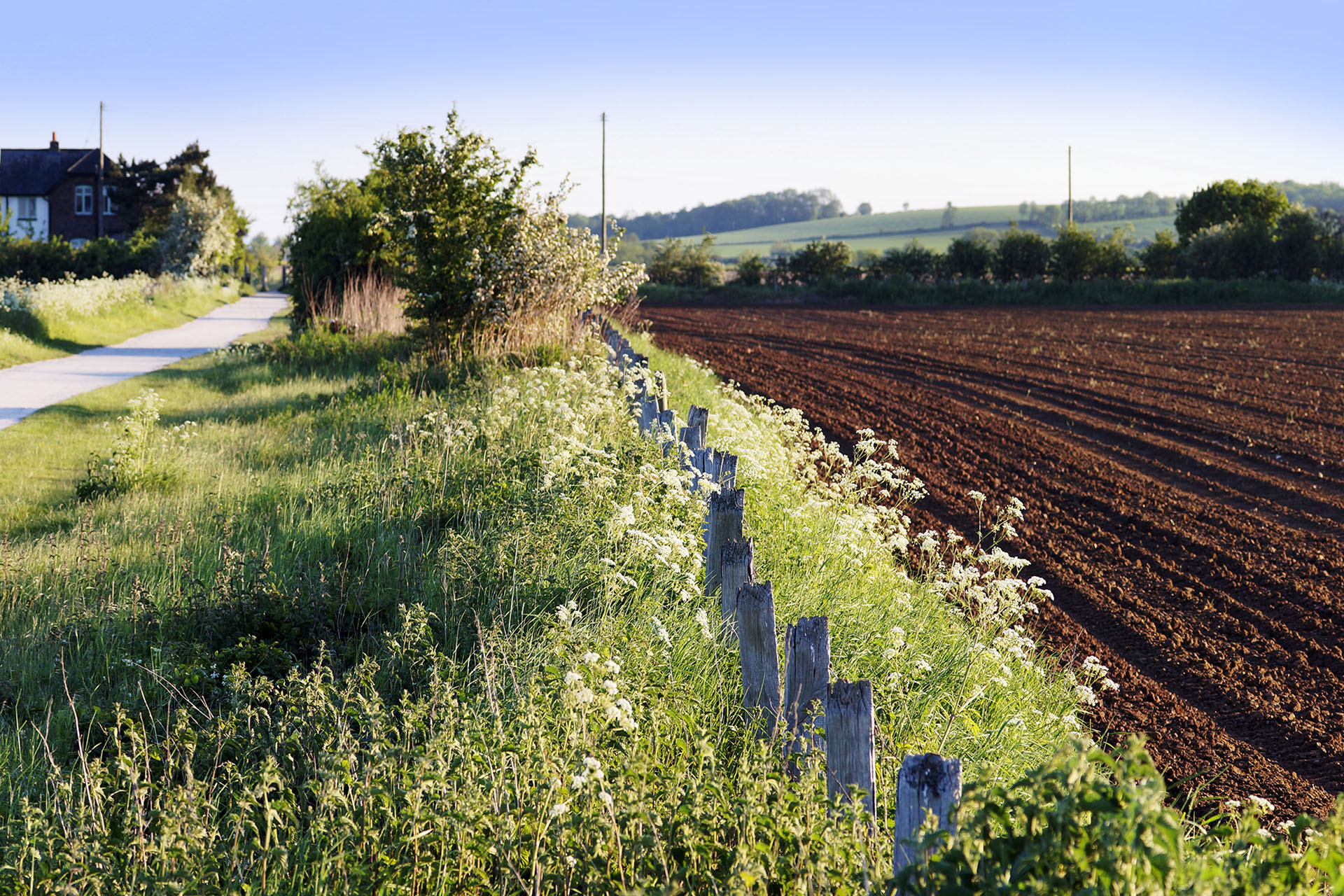 Cum se calculeaza cantitatile de azot ce se administreaza culturilor agricole
