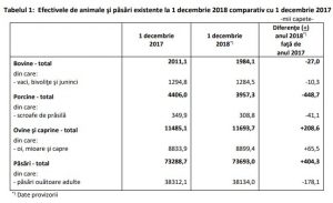 animale