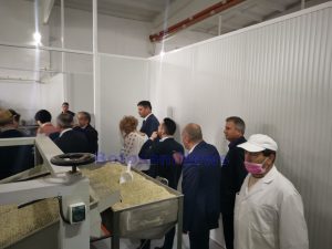 fabrica-canepa (1)