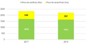 porumb certificat