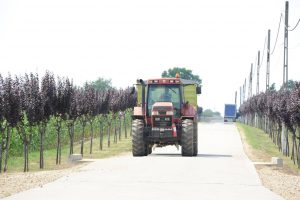 tractor