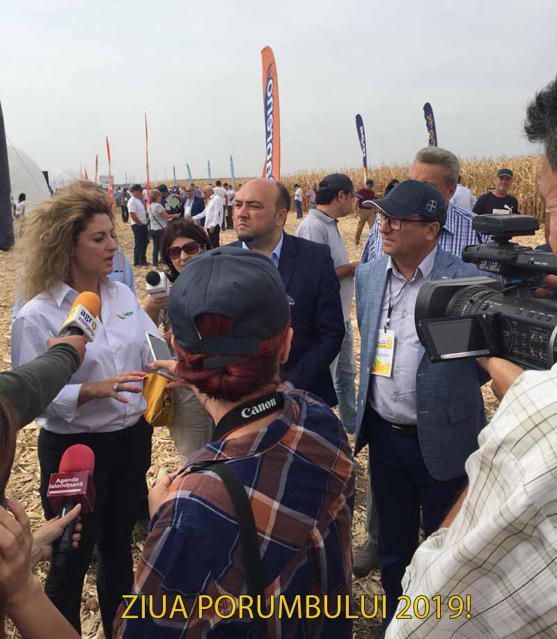 Alina Cretu, APPR: Varfurile de productie din UE la porumb nu le depasesc pe cele din Romania