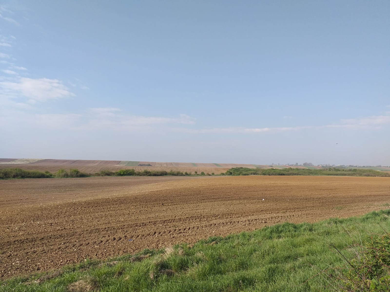 Reglementari noi in utilizarea durabila a pesticidelor pe teritoriul Romaniei