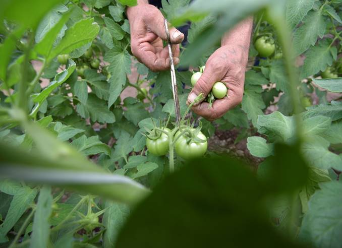 Intalnire a expertilor agricoli din Europa si Asia la Chisinau