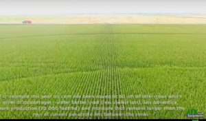 agricost