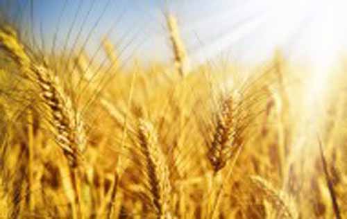 ADAMA a intrat in actionariatul AGRICOVER, principalul distribuitor de input-uri agricole
