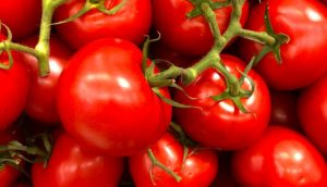 tomate