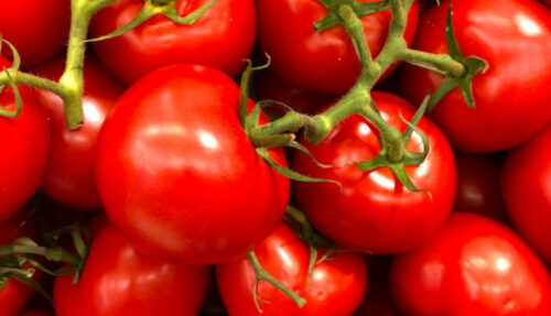 Ajutor de stat de 1.500 euro/1.000 mp pentru producatorii de tomate si usturoi