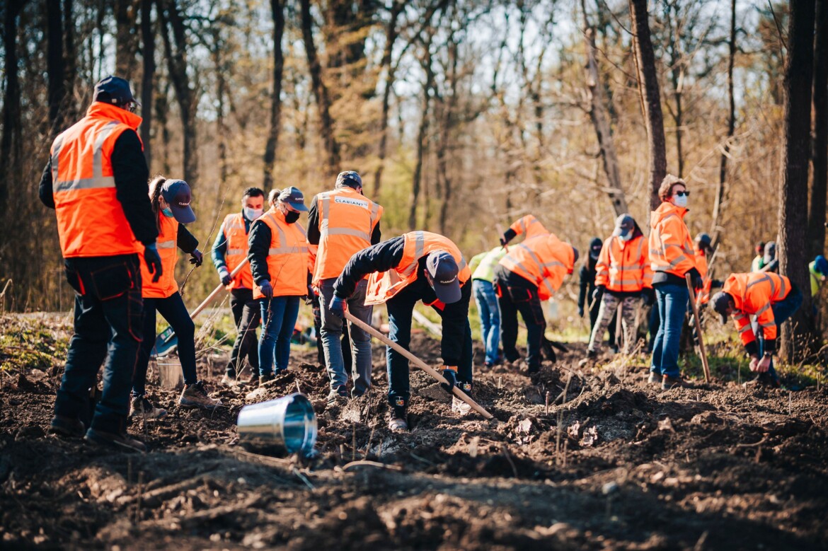 Angajatii Clariant Romania, implicati activ in cadrul „Lunii Plantarii Arborilor“