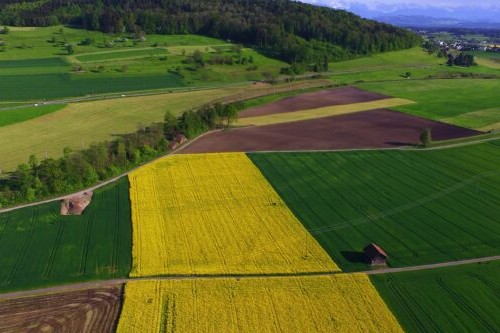 Cat costa terenul agricol in Romania