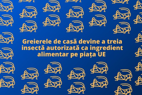 UE: Greierele de casa, a treia insecta autorizata ca ingredient alimentar