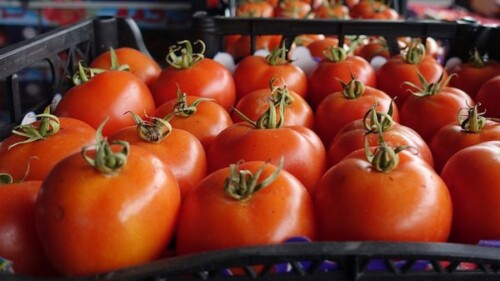 Romania este cel mai mare importator de rosii turcesti