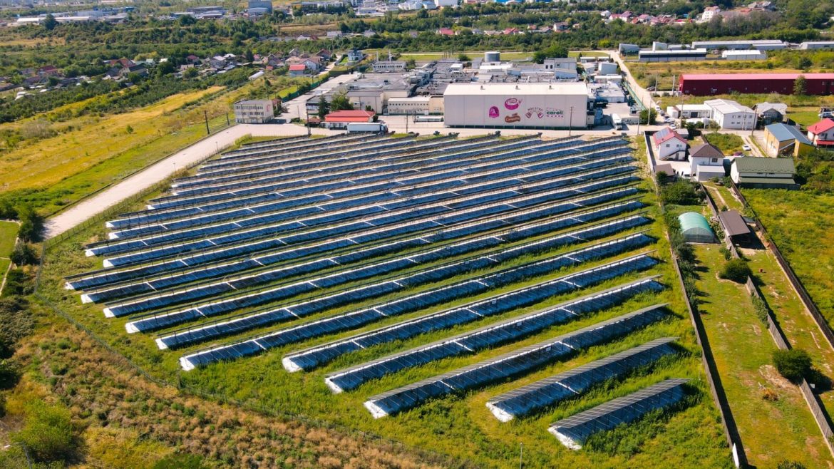 Investitie Caroli Foods de 1,3 milioane euro într-o un parc fotovoltaic